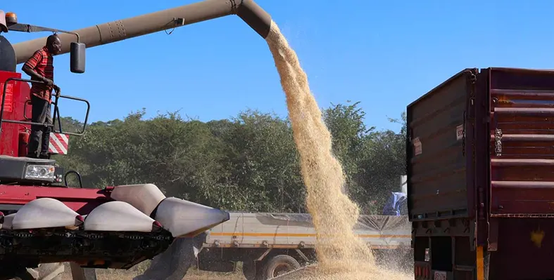 US$10.12mn grant to boost resilient agriculture and livelihoods for rural communities in Zimbabwe. (Image source: tractor_pouring_out_harvested_maize
